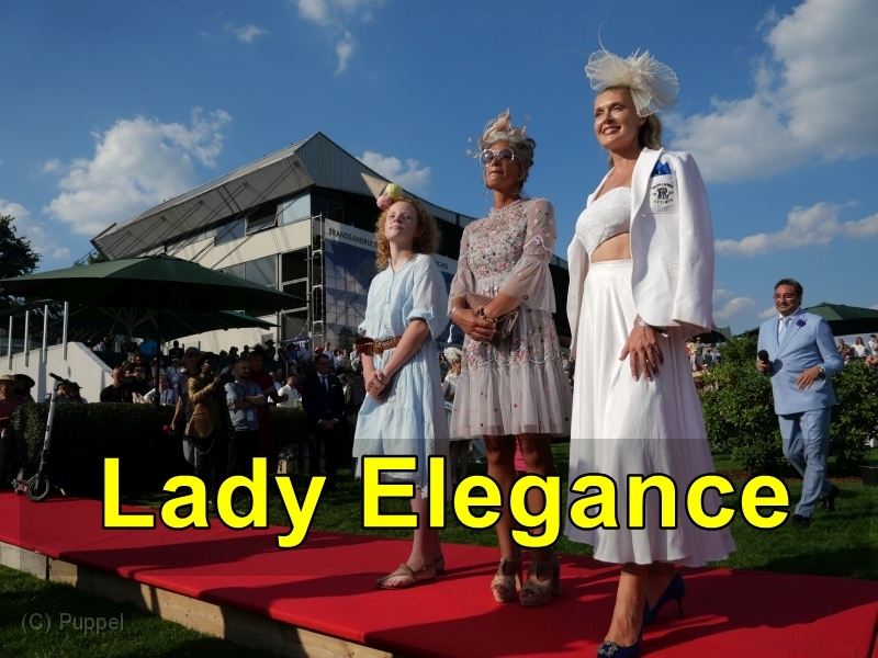 A 060 Lady Elegance.jpg